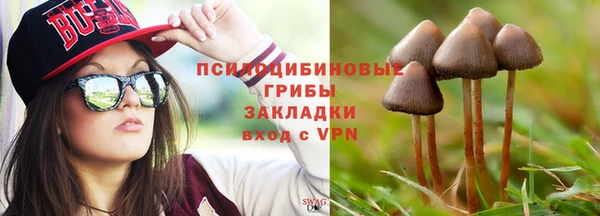 PSILOCYBIN Бронницы