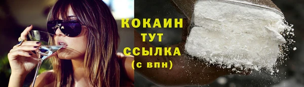 гидра Бородино