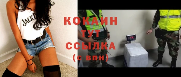 гидра Бородино