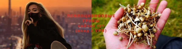 трава Снежинск