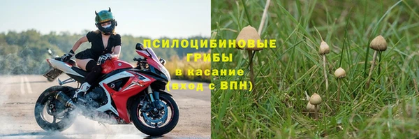 ECSTASY Бугульма