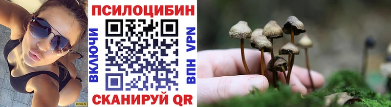 Купить где  Ейск  Галлюциногенные грибы Psilocybe 